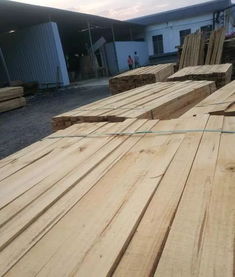 广西西林县材源木业加工 加工各种规格建筑工程方木,欢迎电话咨询