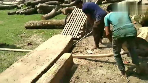 第一次走进印度木材加工厂,人工抬木头,比我想象中的还落后