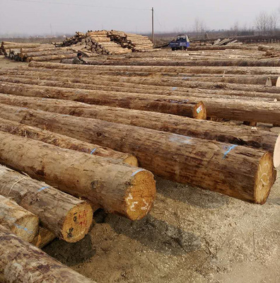 林州收购木材