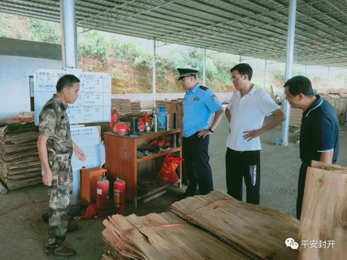 封开公安森林警察对木材加工厂进行安全检查